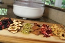 FOOD DEHYDRATOR SMX/مجفف الطعام