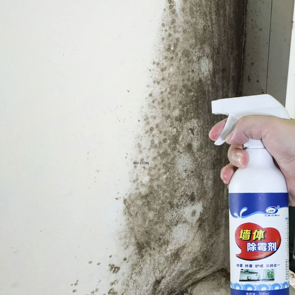 STAIN REMOVER SPRAY/ بخاخ مزيل البقع