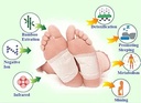 KINOKI CLEASING DETOX FOOT PADS/ لصقات علاج القدم