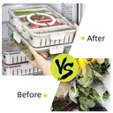 4-Compartment Detachable Fridge Food Container/ علبة حفظ الطعام قابلة للفصل مكونة من 4 أقسام