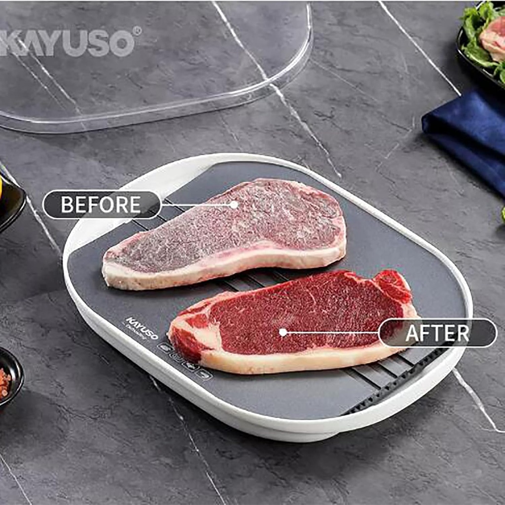 Defrost plate/لوح تذويب الجليد