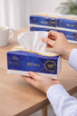 Revan Tissue Set of 40 Boxes/ مجموعة مناديل ريفان مكونة من 40 علبة
