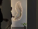 100CM SDECORATIVE PAINTING WITH LIGHT FEATHER/لوحة الريش 100 سم مع اضاءة LED
