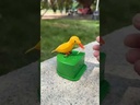 BIRD TOOTHPICKS ORGANIZER / منظم أعواد الأسنان