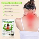 CERVICAL PLASTER / لصقات علاج الرقبة
