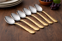 STEEL SPOON 6 PCS. / طقم ملاعق