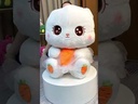 Bunny Toy / دمية الارنب