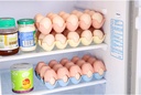 1-Egg Organizer / منظم البيض