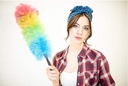 Cleaning Brush / ريشة التنظيف
