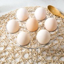 EGG STAND/ ستاند البيض
