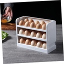 Egg Organizer / منظم البيض