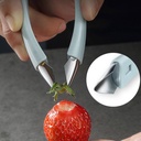 Fruit Seed Remover/مزيل بذور الفواكهة