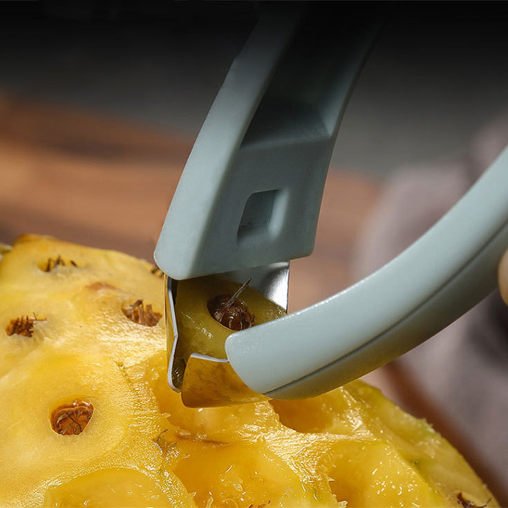 Fruit Seed Remover/مزيل بذور الفواكهة