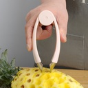 Fruit Seed Remover/مزيل بذور الفواكهة