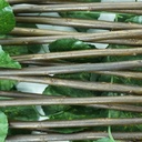 Hanging foliage fence small/سياج ورق الشجر المعلقة