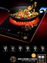 INDUCTION COOKER/طباخ كهربائي