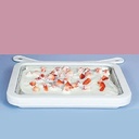 INSTANT ICE CREAM MAKER / قالب عمل الآيس كريم