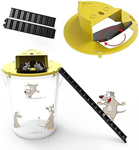 MOUSETRAP / مصيدة الفئران