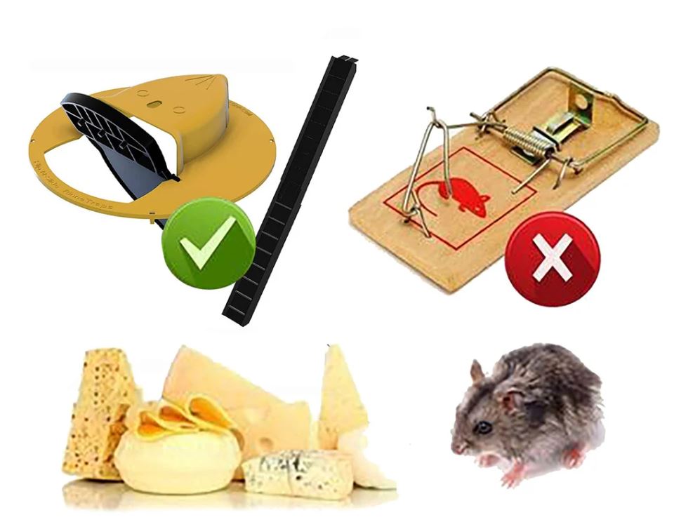 MOUSETRAP / مصيدة الفئران
