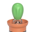 OIL BRUSH / فرشاة الزيت