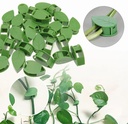 PLANT CLIP/ قطع تثبيت الزرع