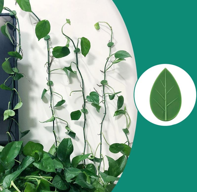 PLANT CLIP/ قطع تثبيت الزرع