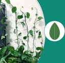 PLANT CLIP/ قطع تثبيت الزرع