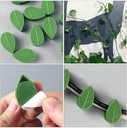 PLANT CLIP/ قطع تثبيت الزرع