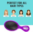 PORTABLE MINI COMB / مشط متنقل