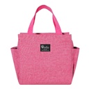 Picnic Bag / حقيبة حافظة للحرارة