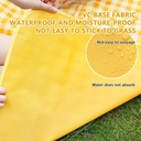 Picnic Mat / بساط الرحلات