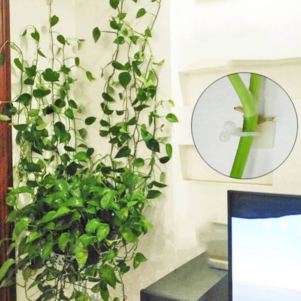 Plant Pot Hook 10 PCs/خطاف تعليق النباتات