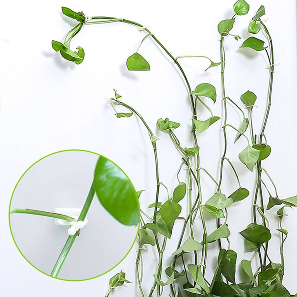 Plant Pot Hook 100 pcs/ خطاف تعليق النباتات