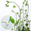 Plant Pot Hook 100 pcs/ خطاف تعليق النباتات