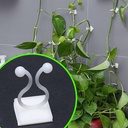 Plant Pot Hook 100 pcs/ خطاف تعليق النباتات