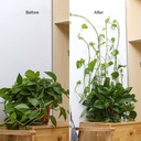 Plant Pot Hook 100 pcs/ خطاف تعليق النباتات