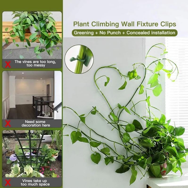Plant Pot Hook 30 Pcs / خطاف تعليق النباتات