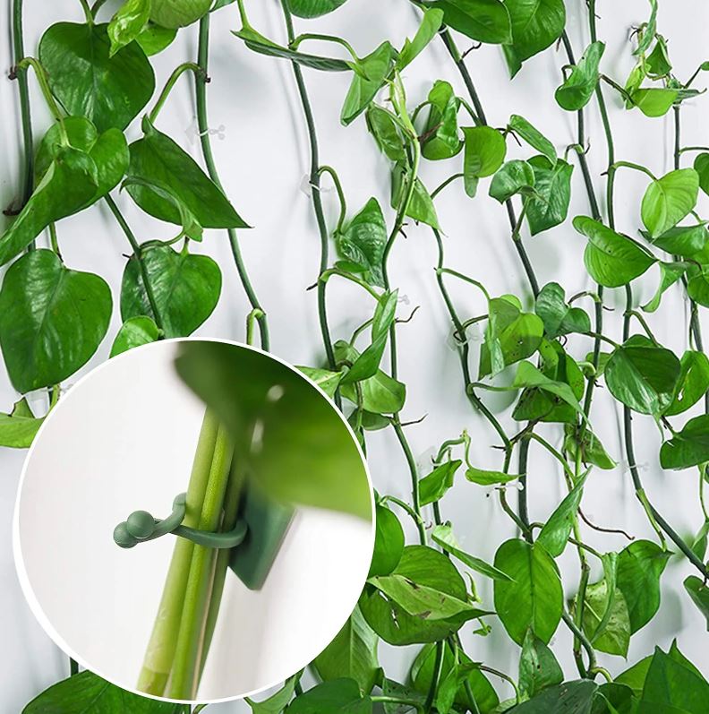 Plant Pot Hook 30 Pcs / خطاف تعليق النباتات