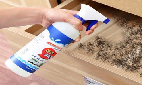 STAIN REMOVER SPRAY/ بخاخ مزيل البقع