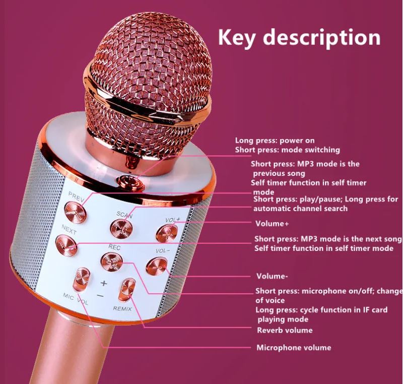 WIRELESS MICROPHONE/ميكرفون 