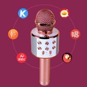 WIRELESS MICROPHONE/ميكرفون 