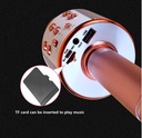 WIRELESS MICROPHONE/ميكرفون 
