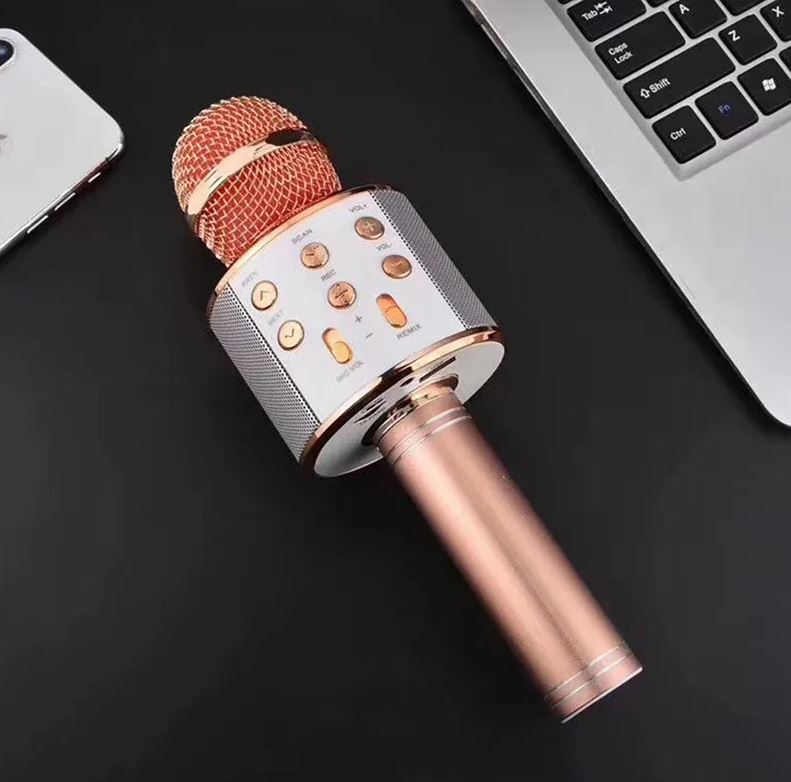 WIRELESS MICROPHONE/ميكرفون 