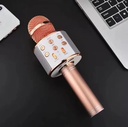 WIRELESS MICROPHONE/ميكرفون 