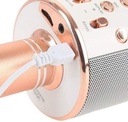 WIRELESS MICROPHONE/ميكرفون 