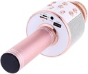 WIRELESS MICROPHONE/ميكرفون 