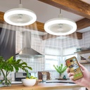 Multi-Function FAN LIGHT  / مروحة مع اضاءة