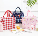 Picnic Bag / حقيبة حافظة للحرارة