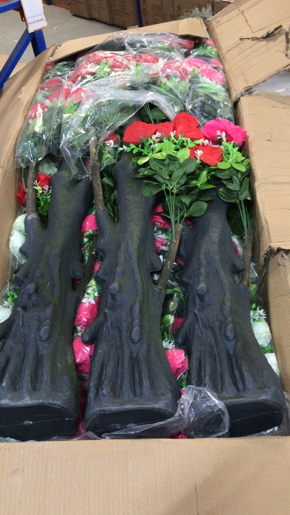 Plant/زهور