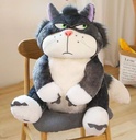 Angry Cat Plush Toy /  دمية القطة الغاضبة